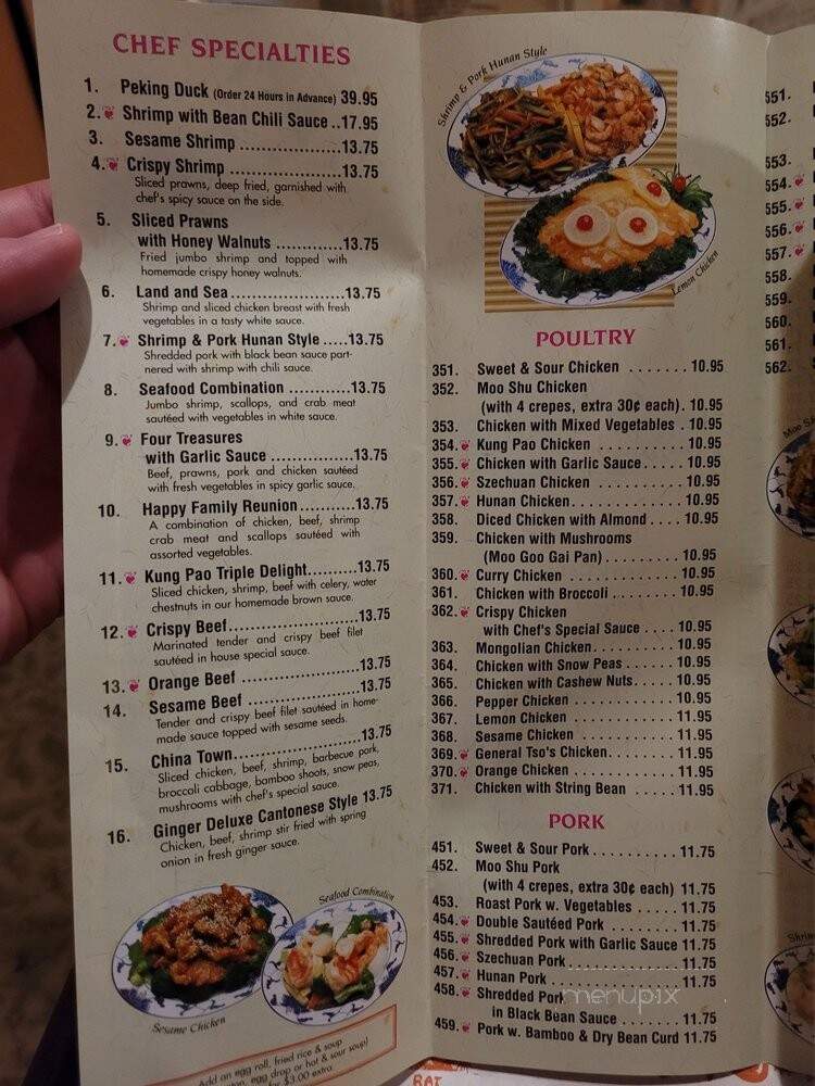 Pearl Chinese Restaurant - Grapevine, TX menu_pic