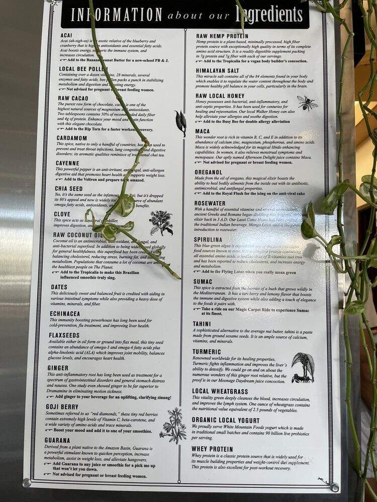 Soup Peddler - Austin, TX menu_pic