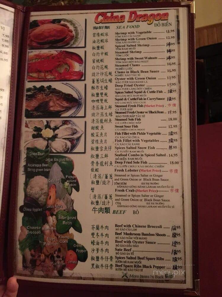 China Dragon - New Berlin, WI menu_pic