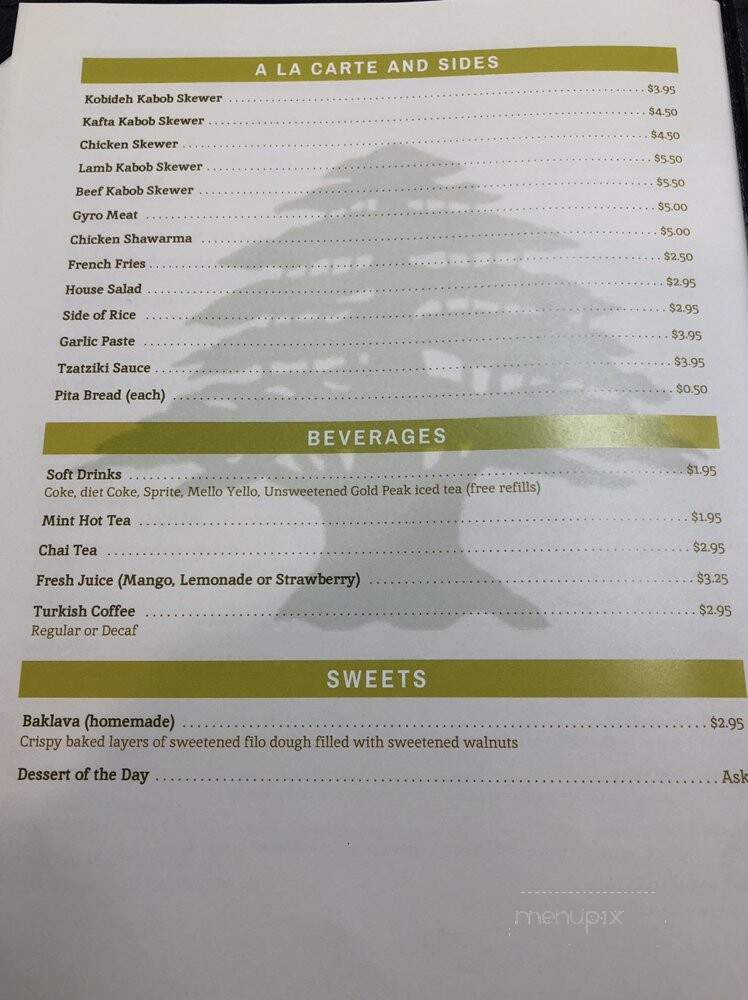 Kabob Station - Northglenn, CO menu_pic