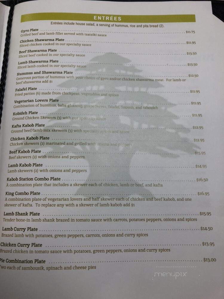 Kabob Station - Northglenn, CO menu_pic