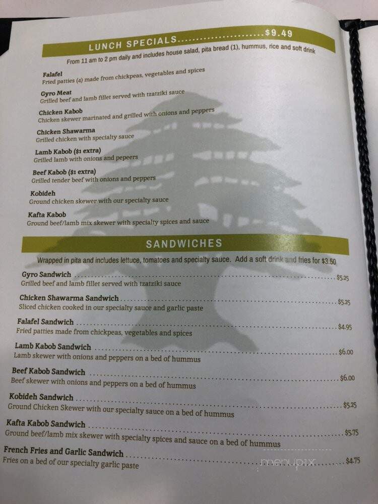 Kabob Station - Northglenn, CO menu_pic