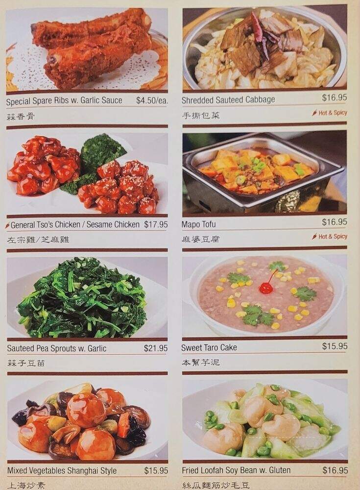 Shanghai You Garden - Flushing, NY menu_pic
