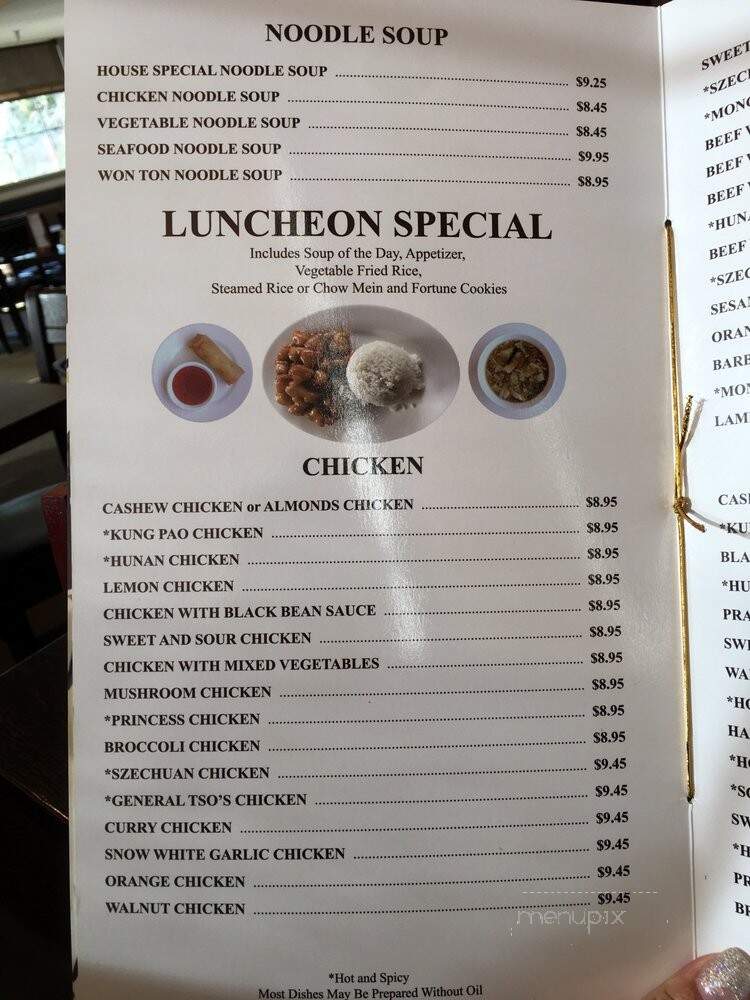 China Village - Cotati, CA menu_pic