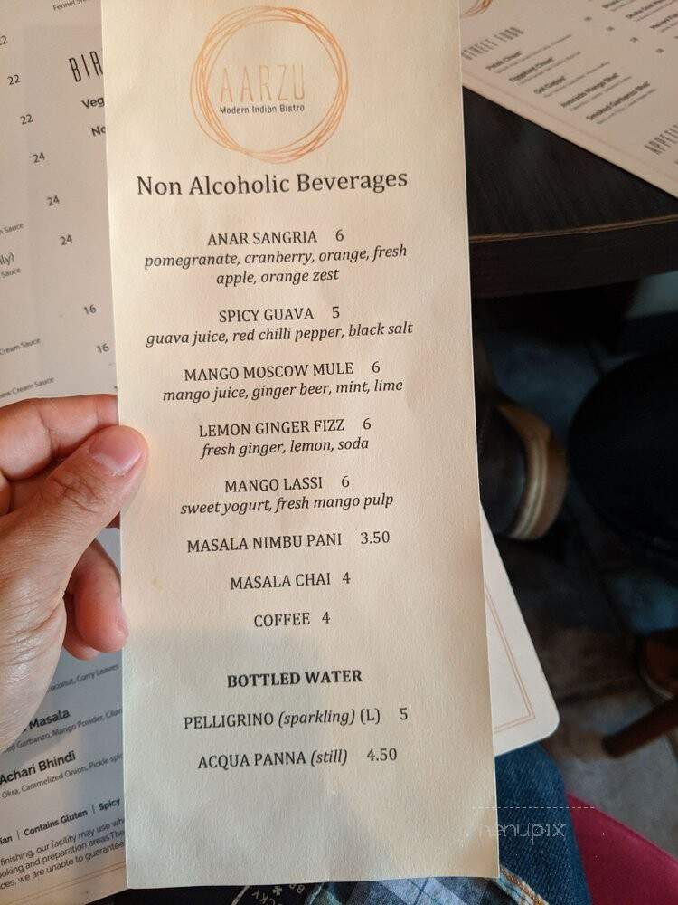 Aarzu Modern Indian Bistro - Freehold Township, NJ