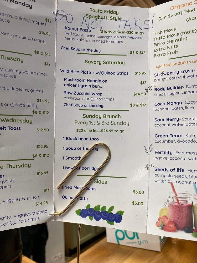Blueberry Cafe Juice Bar & Vegan Grille - Newark, NJ menu_pic