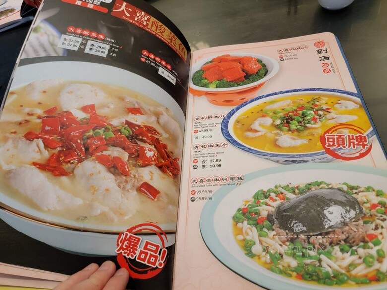 Daxi Sichuan - Flushing, NY menu_pic