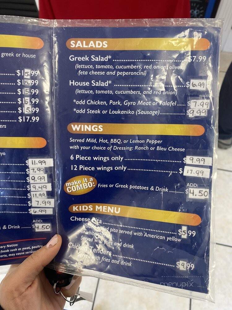 Mr. Gyro - Snellville, GA menu_pic