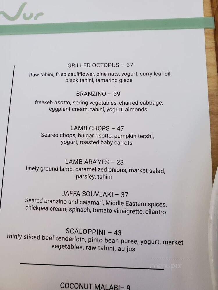 Nur - New York, NY menu_pic