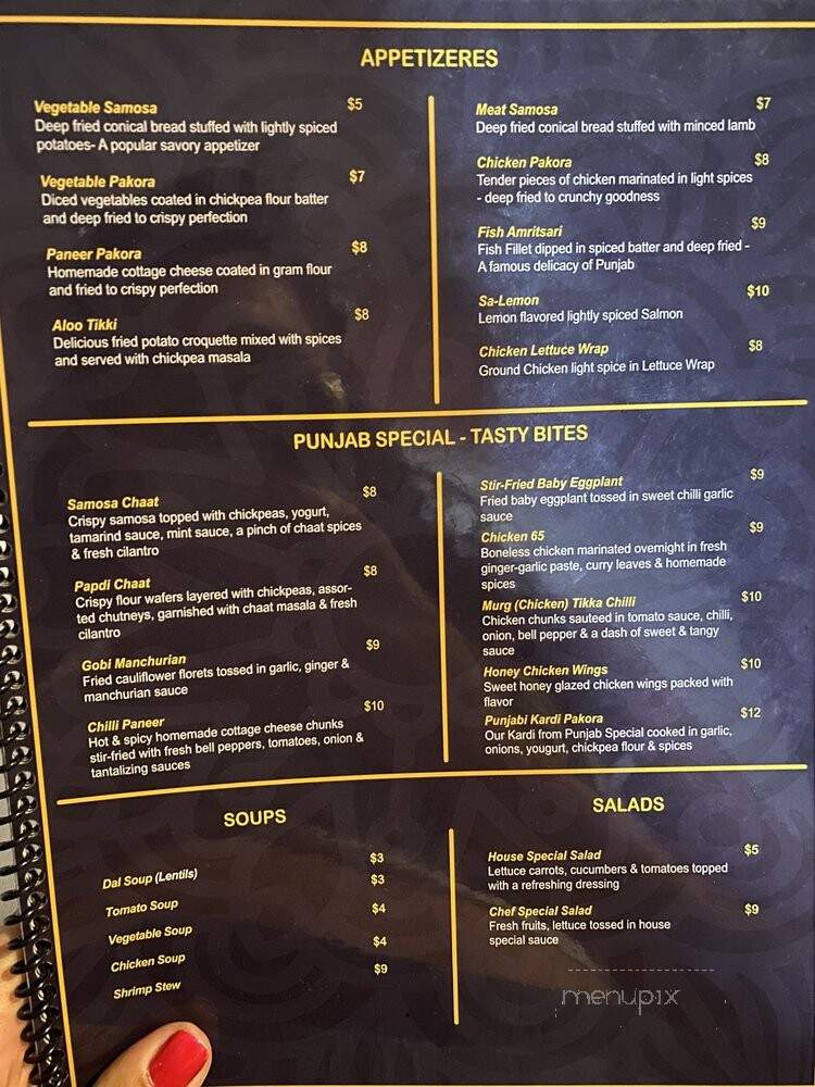 Punjab Indian Cafe - Miami, FL menu_pic