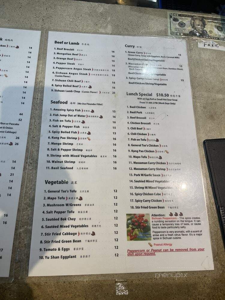 Spicy Girl - Houston, TX