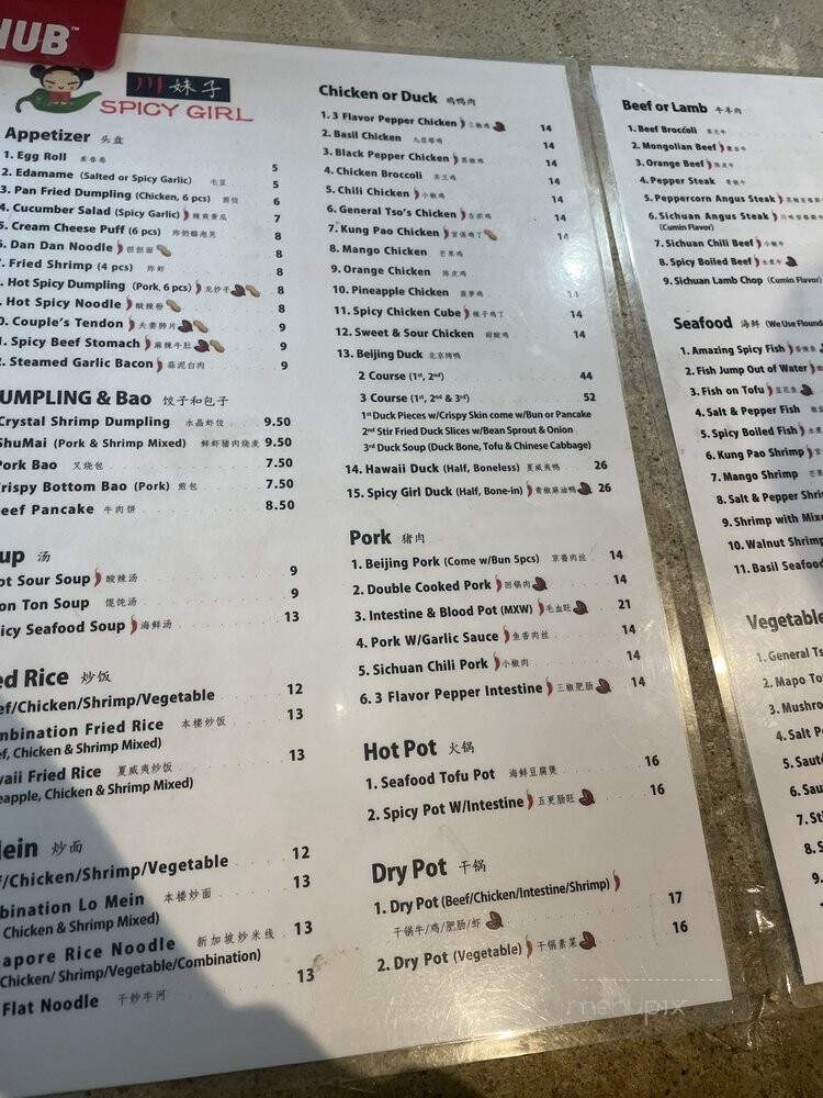Spicy Girl - Houston, TX