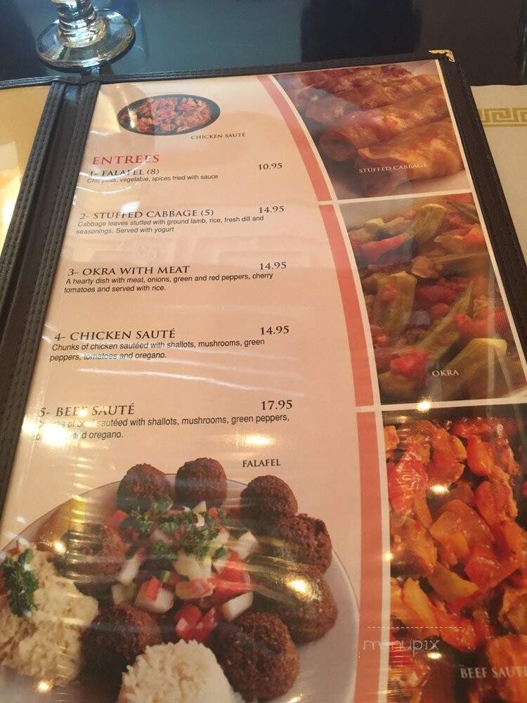 The Kebabci - Wood-Ridge, NJ menu_pic
