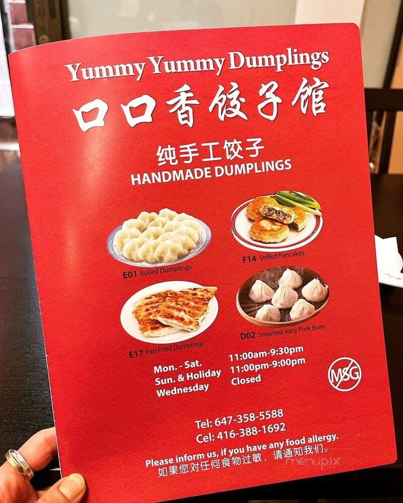 Yummy Yummy Dumplings - Toronto, ON
