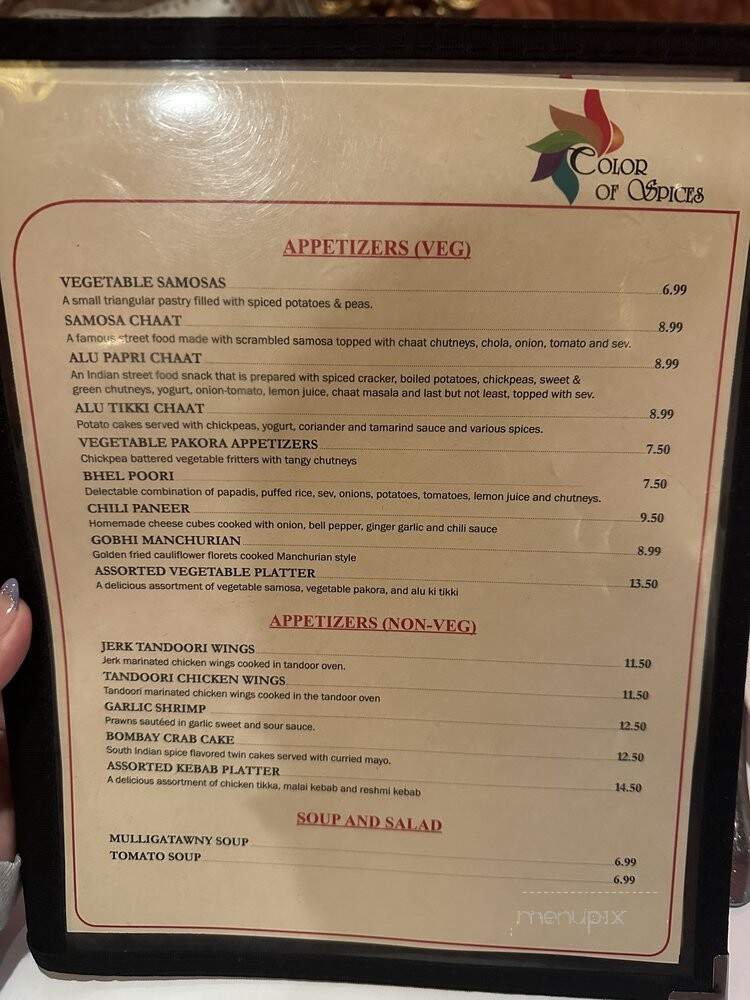 Color Of Spices - Rockville Centre, NY menu_pic