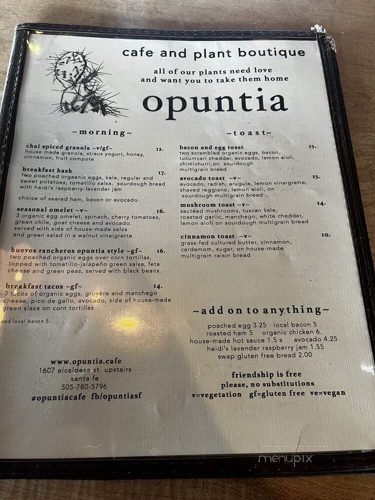 Opuntia - Santa Fe, NM