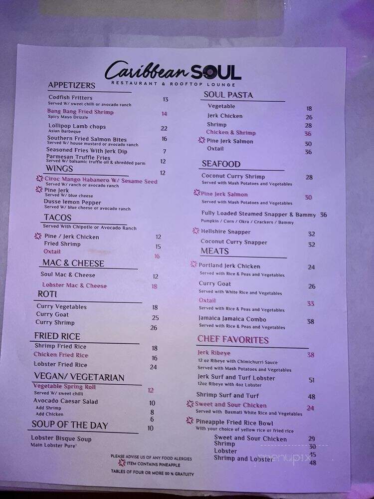 Caribbean Soul Rooftop Restaurant & Lounge - Rosedale, NY