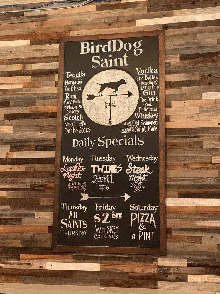 BirdDog Saint - Houston, TX