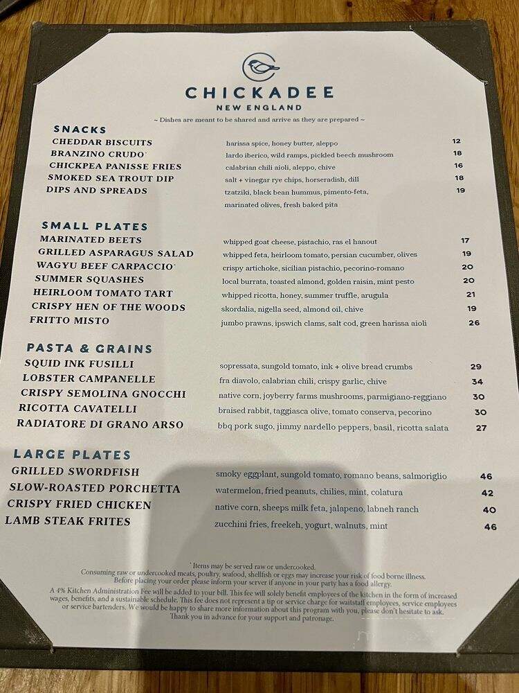 Chickadee - Boston, MA