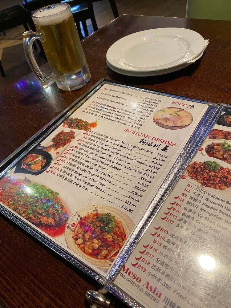 Meso Asia - Frisco, TX menu_pic
