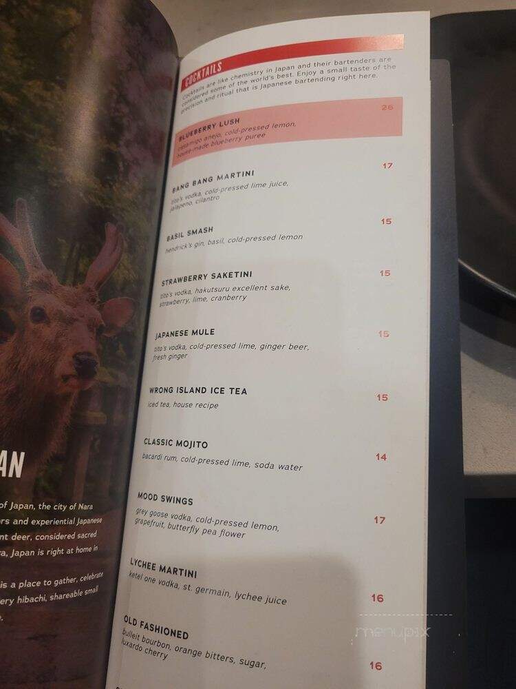 NARA Hibachi & Hot Rocks - West Bloomfield Township, MI menu_pic