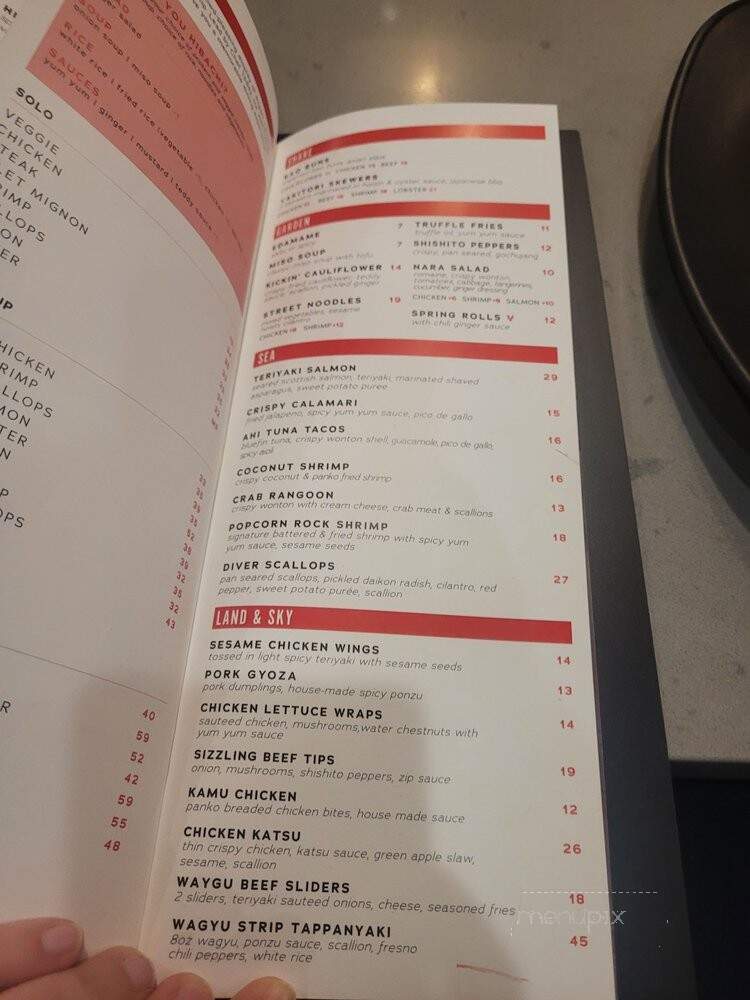 NARA Hibachi & Hot Rocks - West Bloomfield Township, MI menu_pic