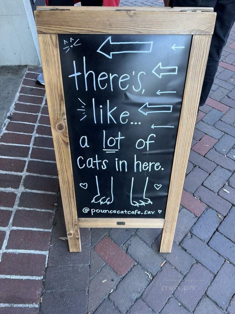 Pounce Cat Cafe - Savannah, GA