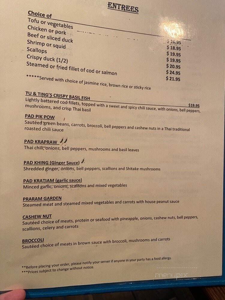 Blue Elephant Restaurant - Wilbraham, MA menu_pic