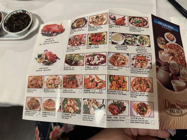 Dim Sum Palace - New York, NY menu_pic