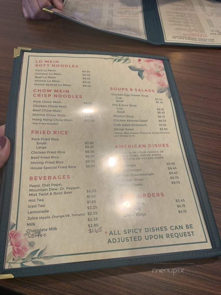 Hong Kong Chinese Restaurant - Twin Falls, ID menu_pic