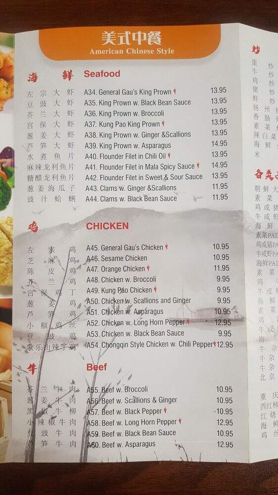 Szechuan Chinese Restaurant - Everett, MA menu_pic