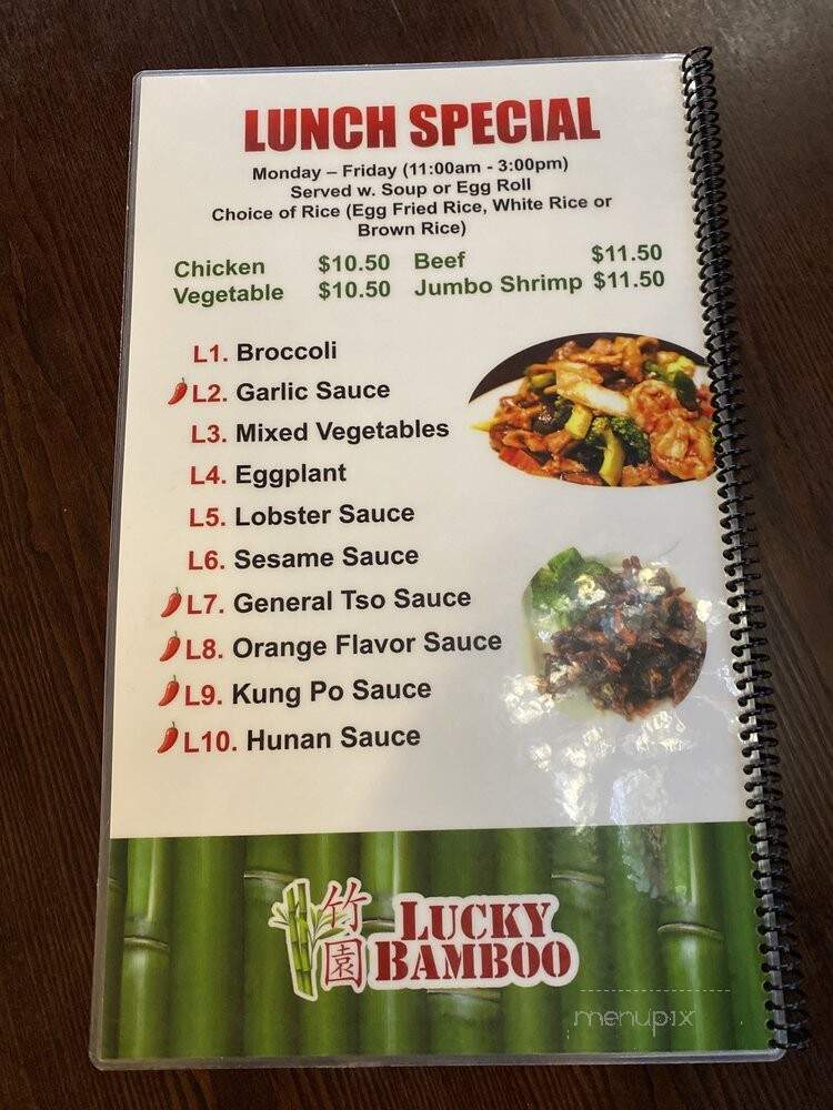Lucky Bamboo Kitchen - Richardson, TX menu_pic