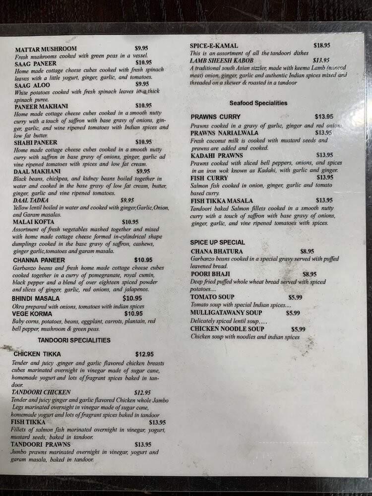 Spice Up Indian Kitchen - Union City, CA menu_pic