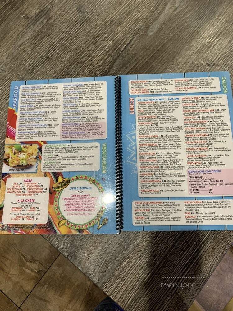 La Catrina Cocina Mexicana - Ormond Beach, FL menu_pic