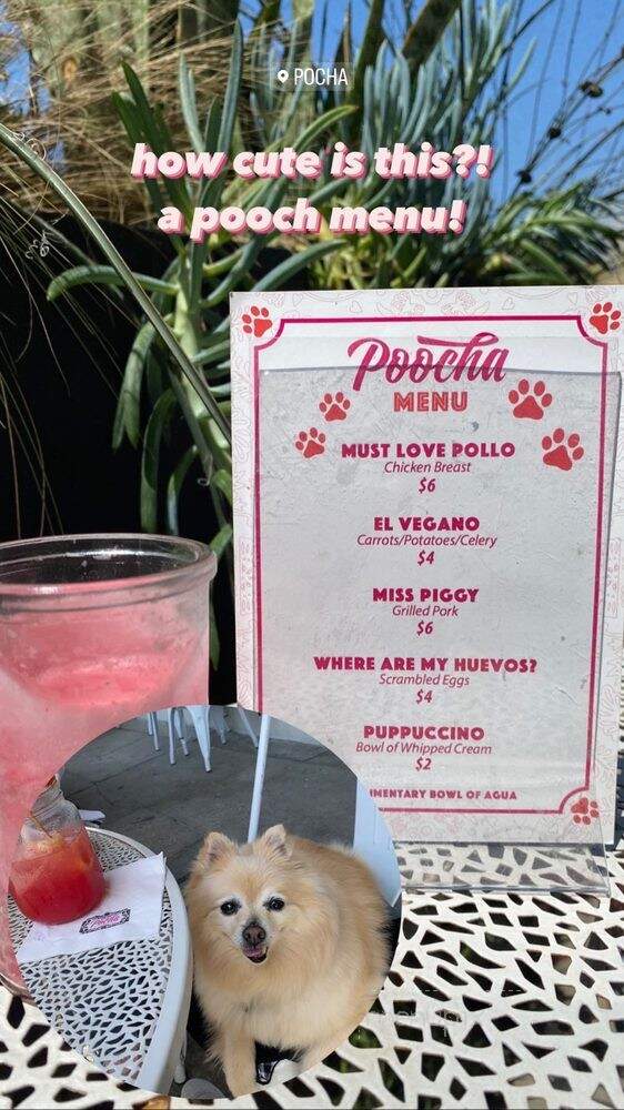 Pocha LA - Los Angeles, CA
