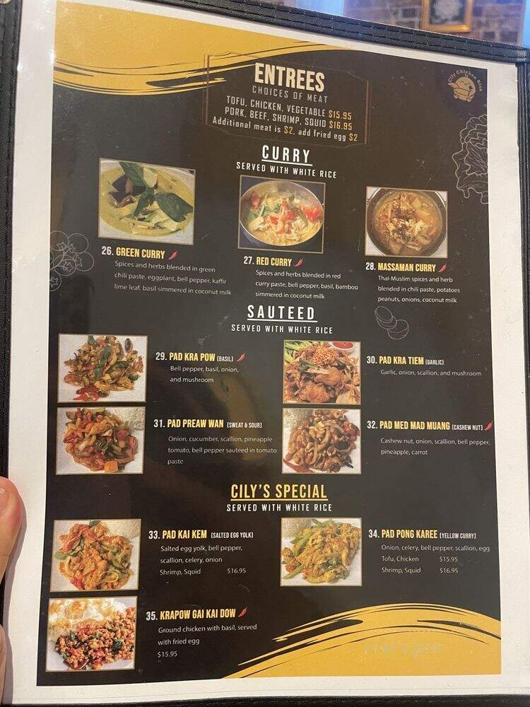 Cily Chicken Rice - Philadelphia, PA menu_pic
