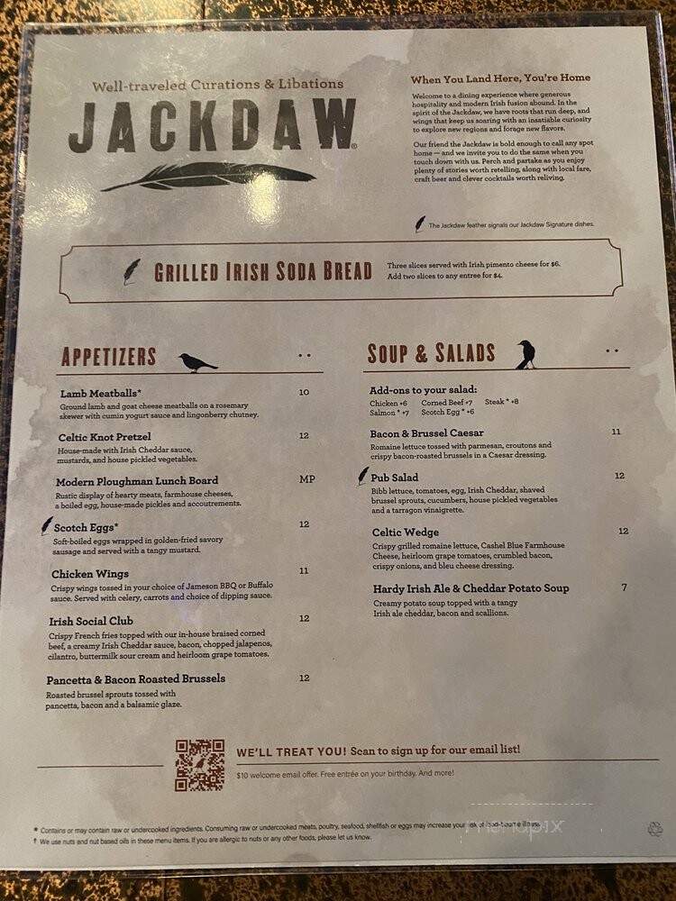 Jackdaw - Fort Worth, TX