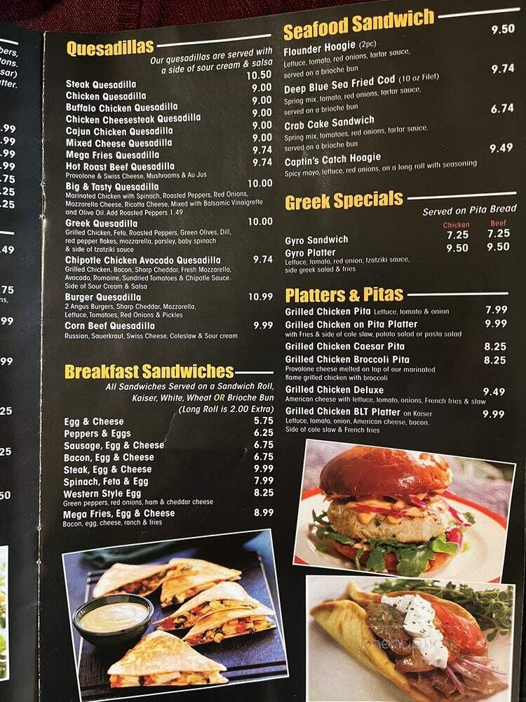 Venice Pizza and Grill - Philadelphia, PA menu_pic