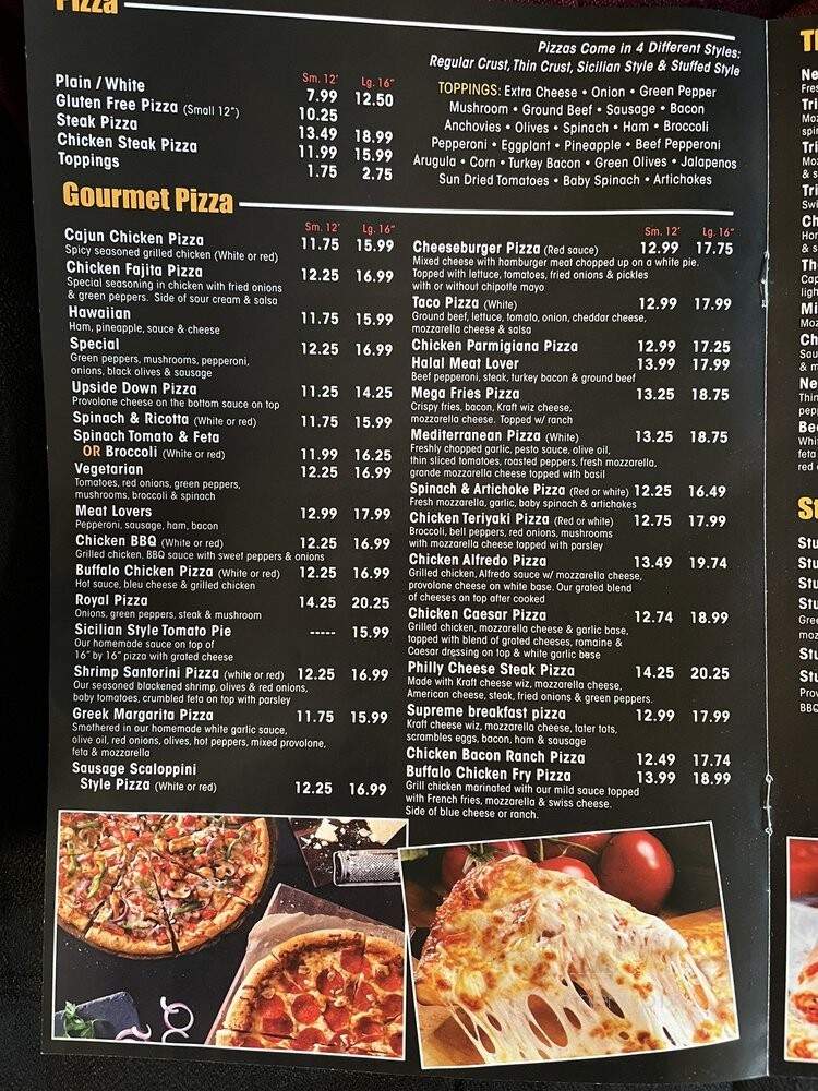 Venice Pizza and Grill - Philadelphia, PA menu_pic
