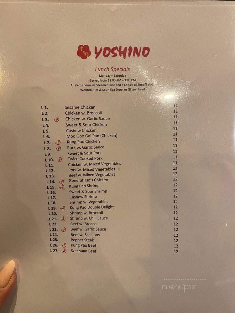 Yoshino - Pittsburgh, PA menu_pic