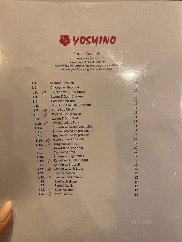 Yoshino - Pittsburgh, PA