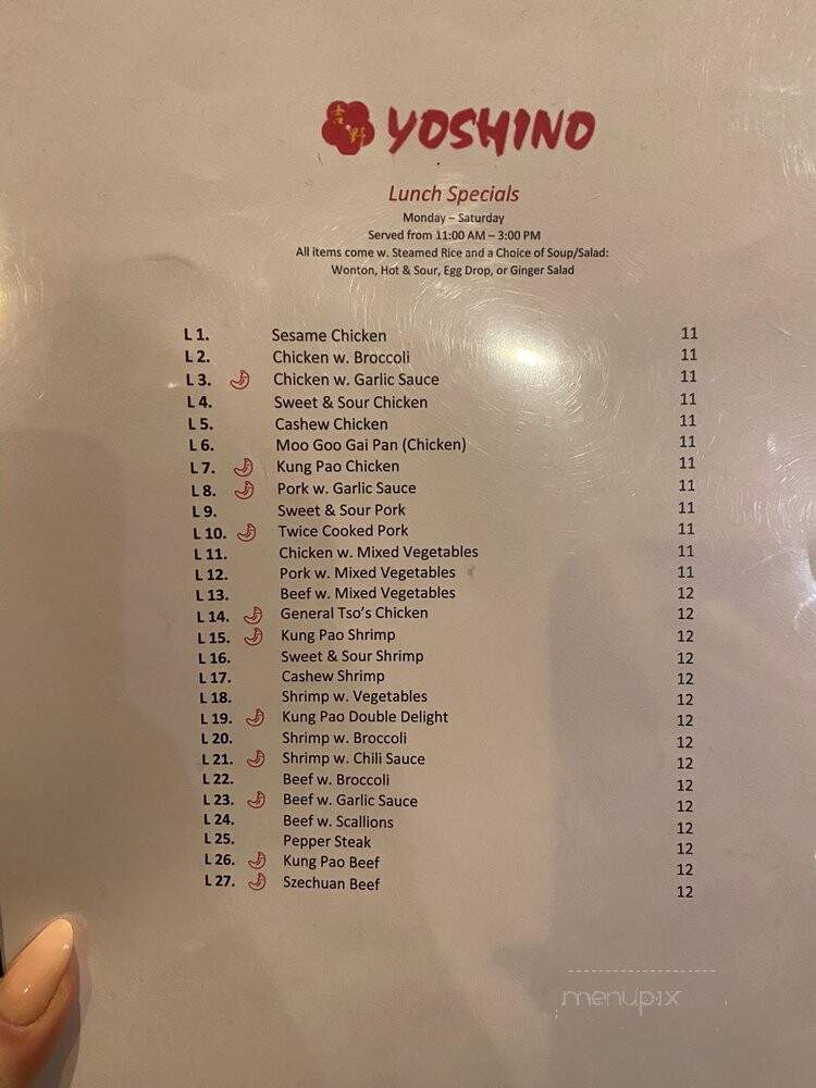 Yoshino - Pittsburgh, PA menu_pic