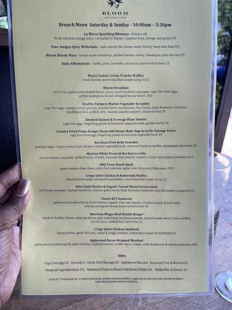 Bloom Restaurant and Bar - San Juan Capistrano, CA menu_pic