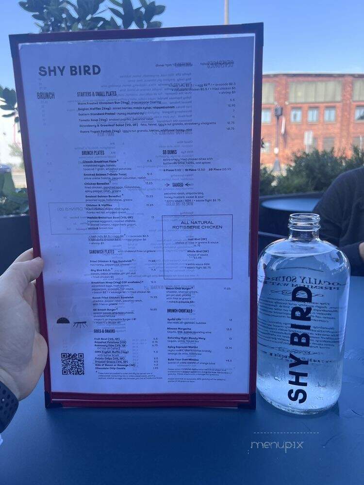 Shy Bird - Boston, MA