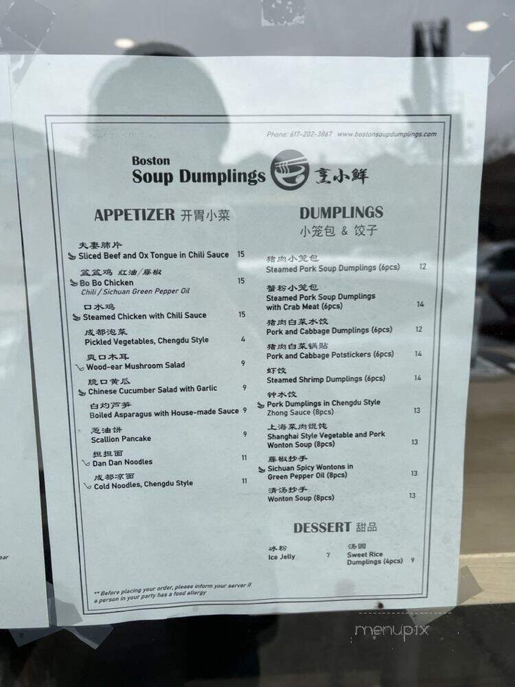 Boston Soup Dumplings - Boston, MA