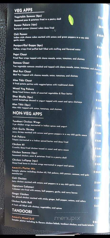 Ammrit Indian Cuisine - South Daytona, FL menu_pic