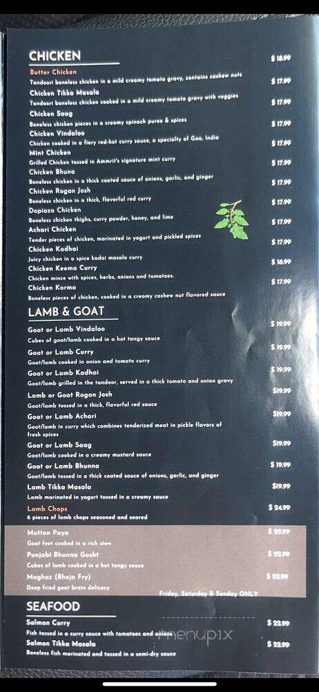 Ammrit Indian Cuisine - South Daytona, FL menu_pic