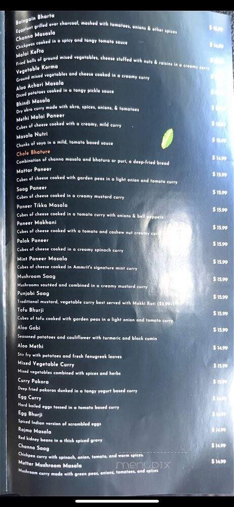 Ammrit Indian Cuisine - South Daytona, FL menu_pic