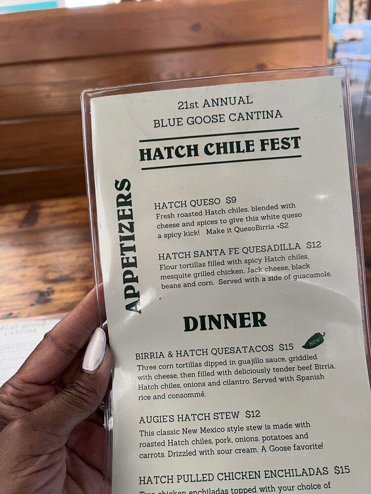 Blue Goose Cantina - Grand Prairie, TX menu_pic