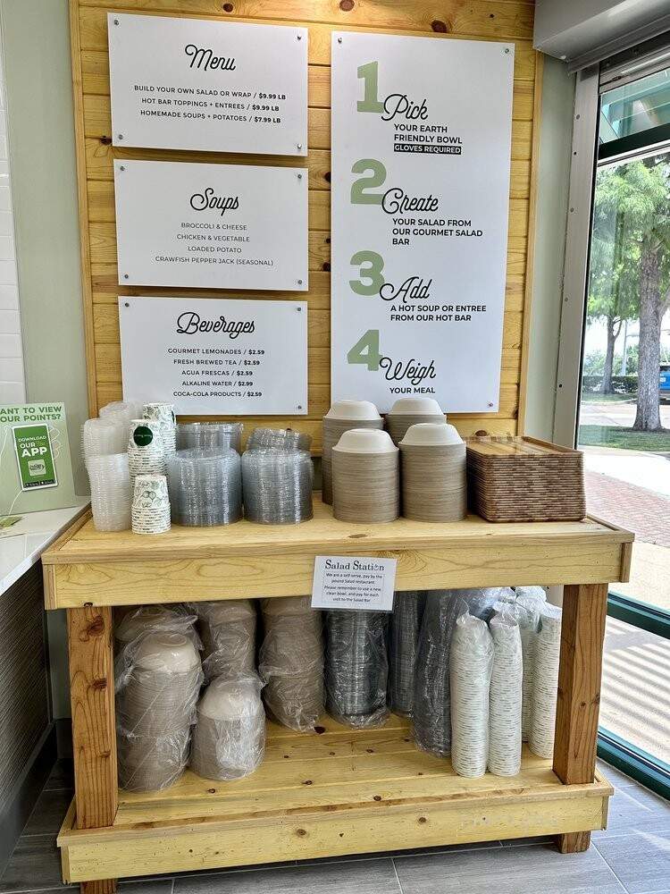 The Salad Station - Irving, TX menu_pic